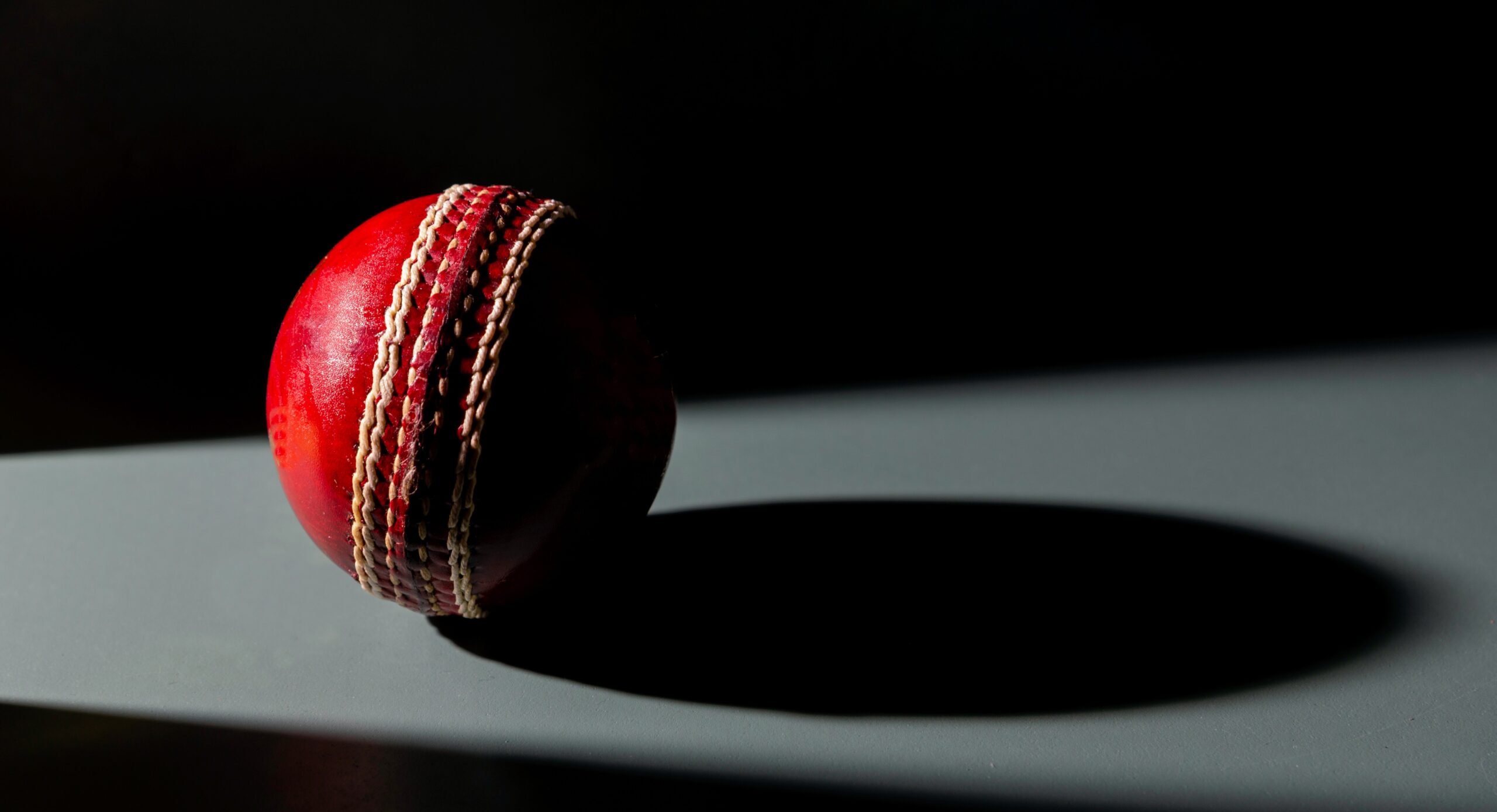 vision training in cricket