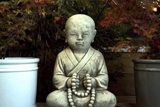 Potential adverse effects and limits of meditation